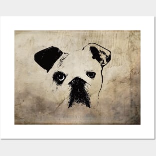 English Bulldog Posters and Art